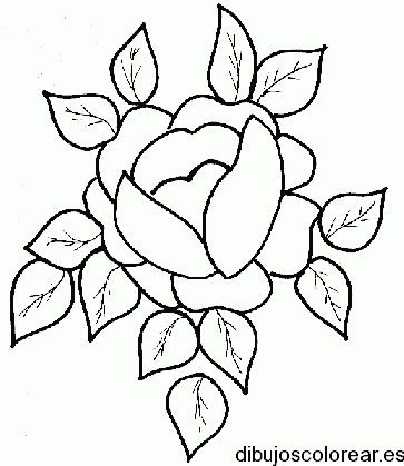 Dibujo de una flor con hojitas