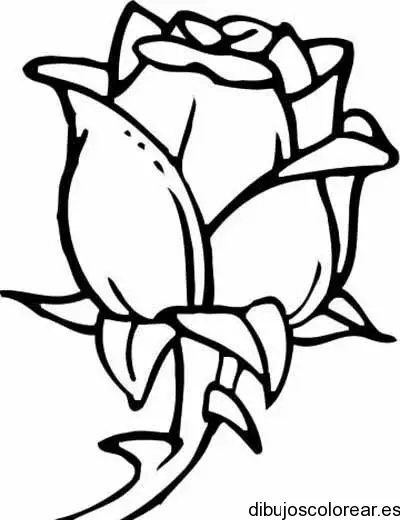 Dibujo de un botón de rosa