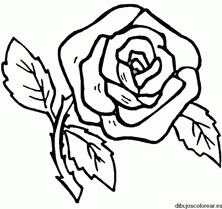 Dibujo de una flor grande con hojas