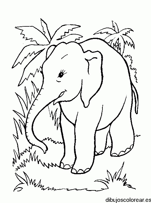 Dibujo de un elefante con palmeras