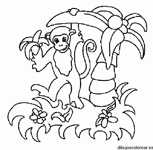 Dibujo de un mono con una banana