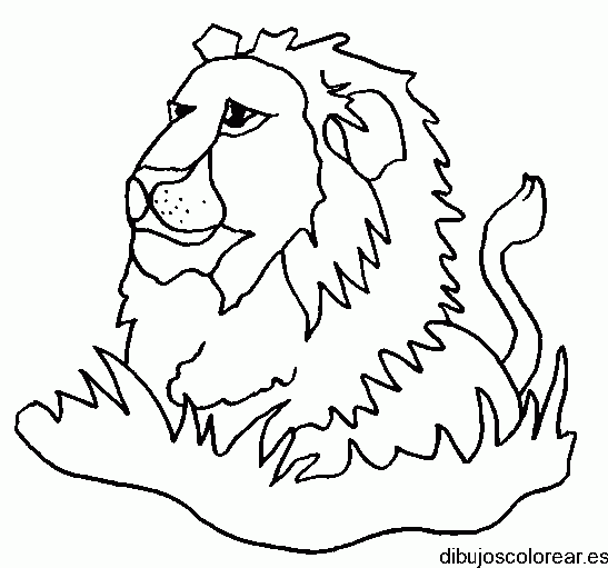 Dibujo de un león en el monte