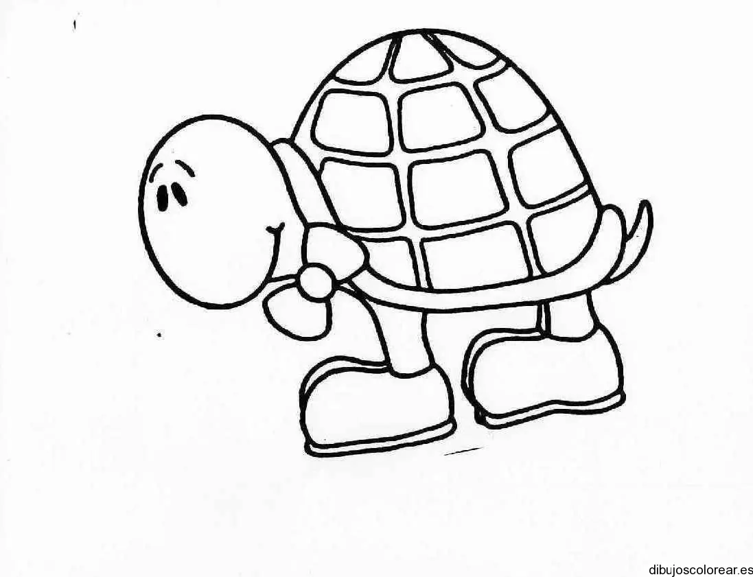 Dibujo de una tortuga con zapatos