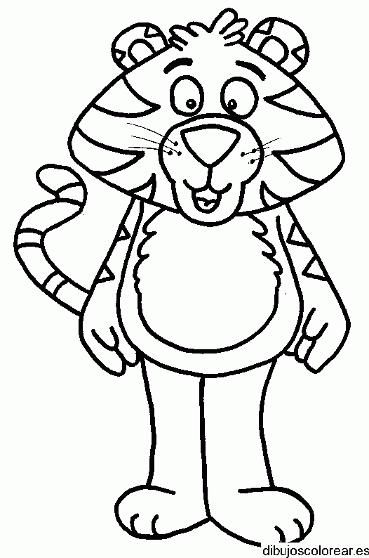 Dibujo de un tigre gordo