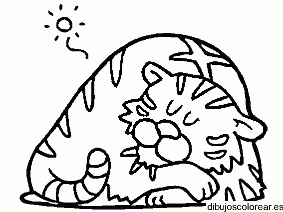 Dibujo de un tigre durmiendo