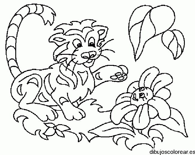 Dibujo de un tigre y una flor