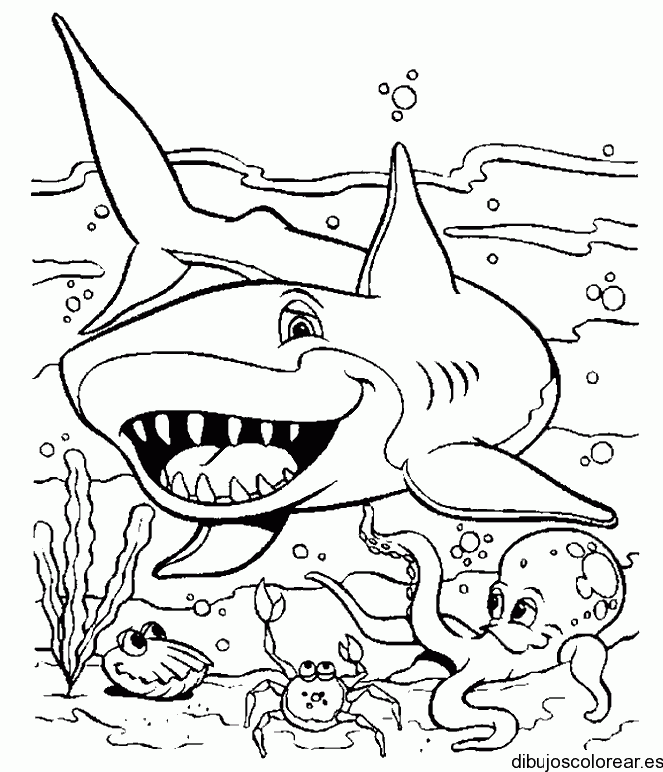 Dibujo de tiburón y pulpo