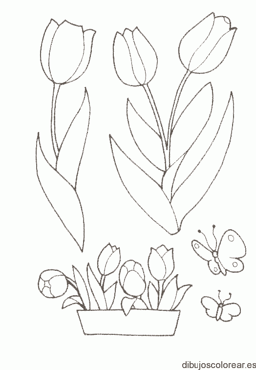 Dibujo de un tiesto de tulipanes
