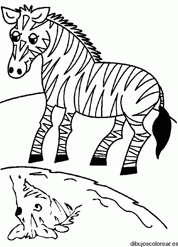 Dibujo de una cebra en un estanque