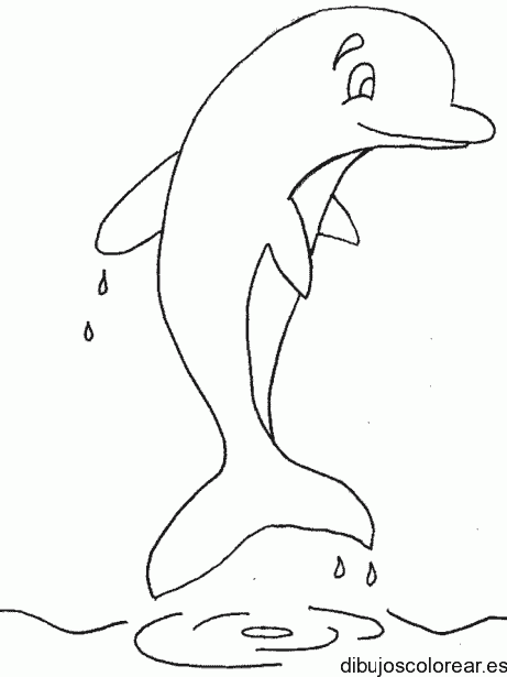 Dibujo de un delfín saliendo del mar