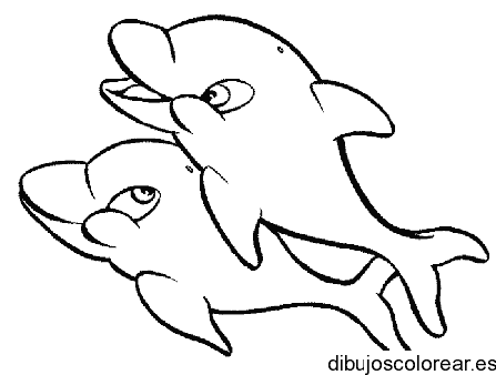 Dibujo de dos delfines de paseo 