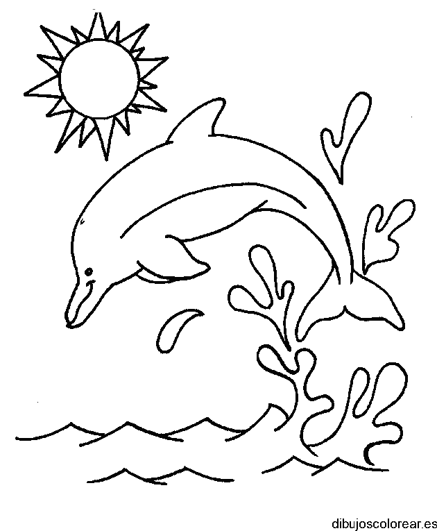 Dibujo de un delfín bajo el sol