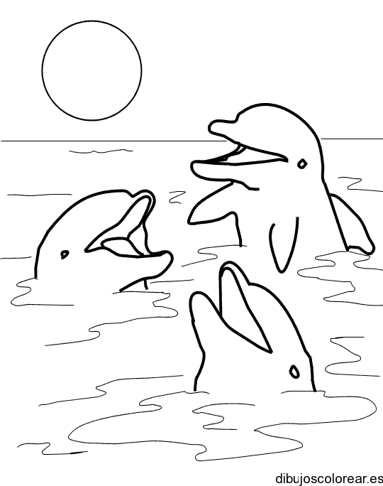 Dibujo de tres delfínes jugando