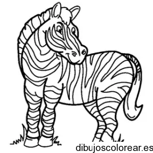 Dibujo de una cebra grande