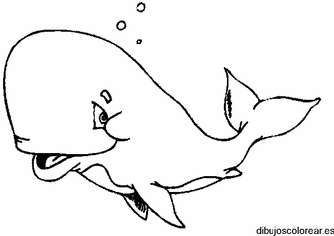 Dibujo de una ballena flotando