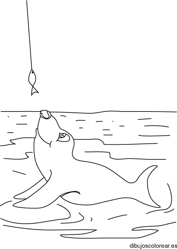 Dibujo de una foca