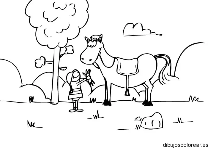Niño alimenta caballo
