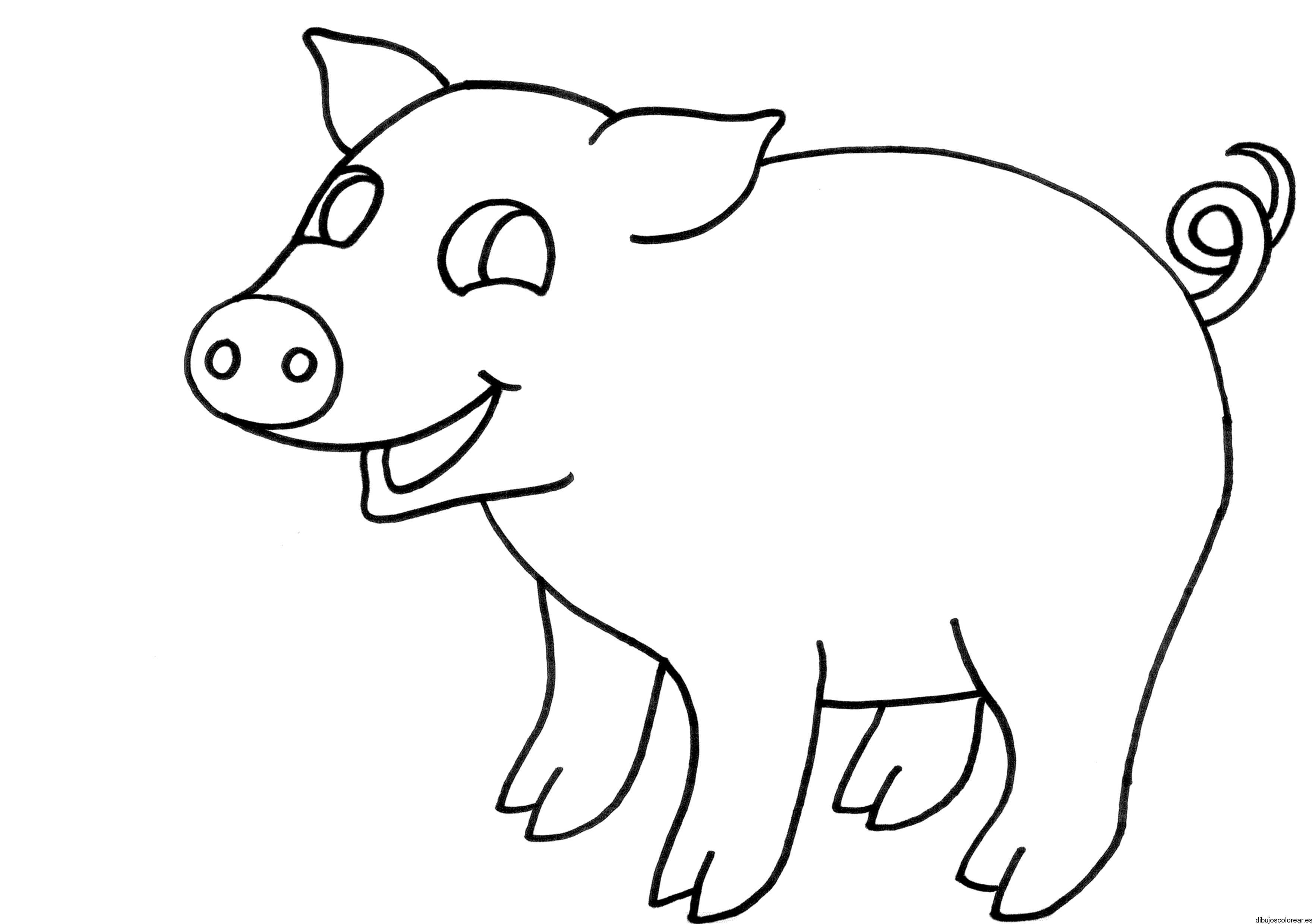 Un cerdito