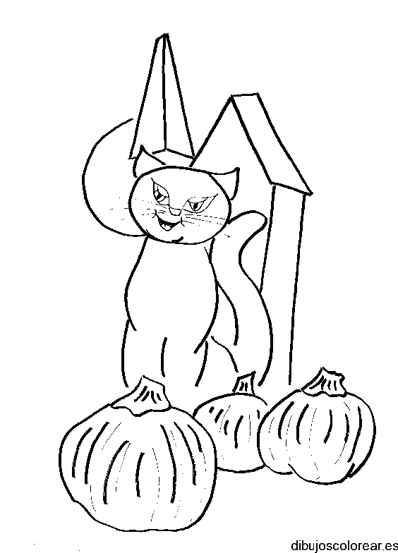 Dibujo de un gato con tres calabazas