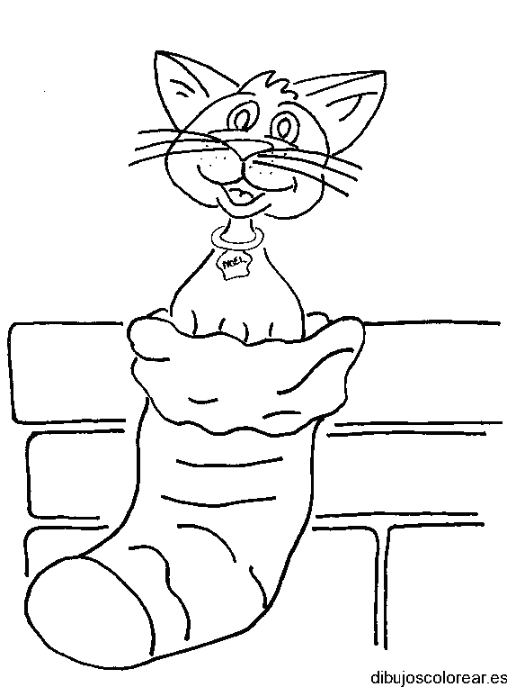 Dibujo de un gato en un calcetín