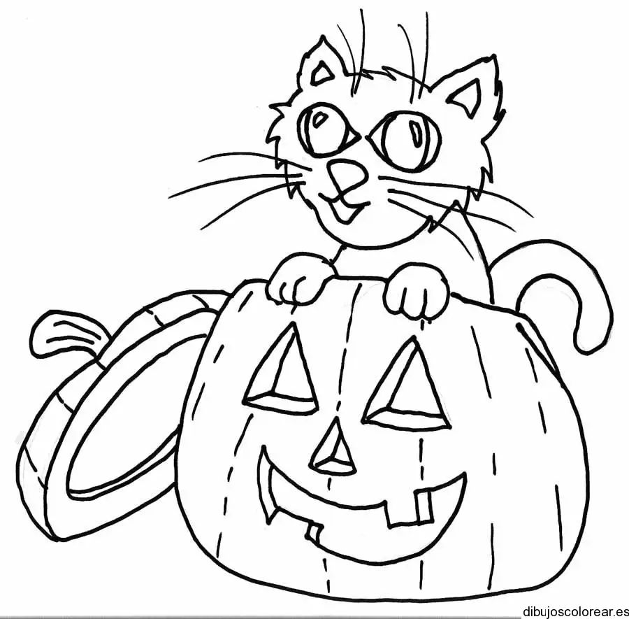 Dibujo de un gato y una calabaza