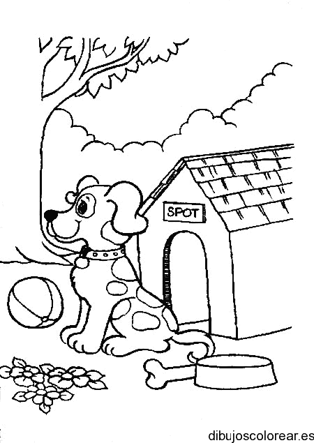 Perro en su casa