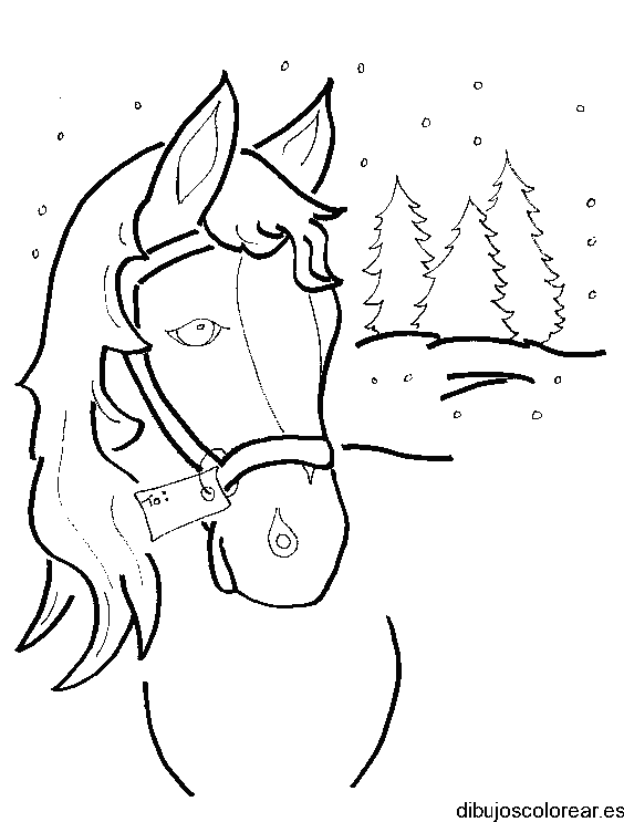 Dibujo de un caballo en la nieve
