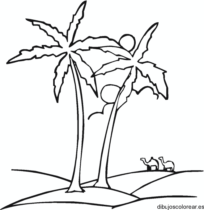 Dibujo de un par de palmeras 