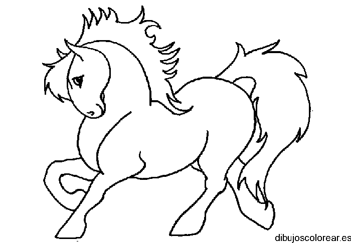 Un pony
