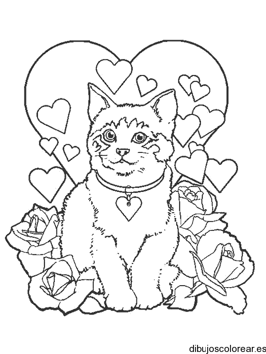 Un gato con corazones