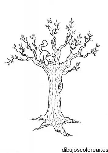 Dibujo de un gato en un árbol