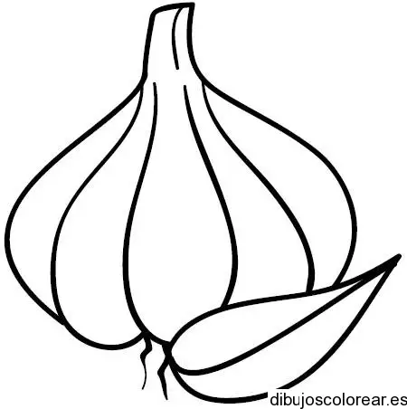 Dibujo de un ajo sin rama