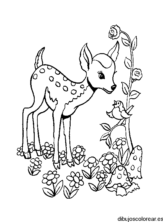 Dibujo de un cervatillo