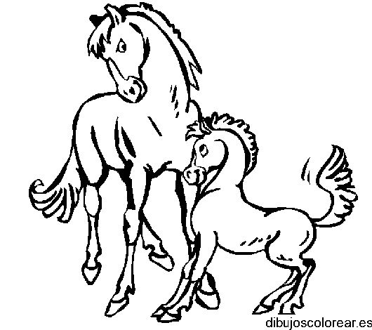 Dibujo de dos caballos
