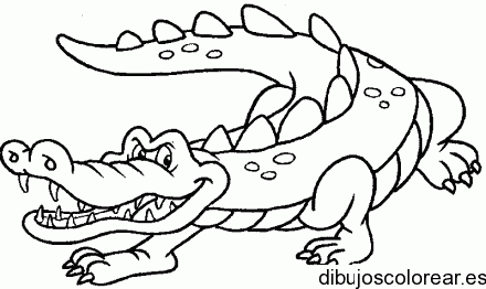 Cocodrilo