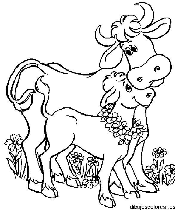 Dibujo de dos vacas