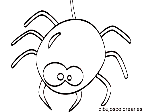 Dibujo de una araña enorme