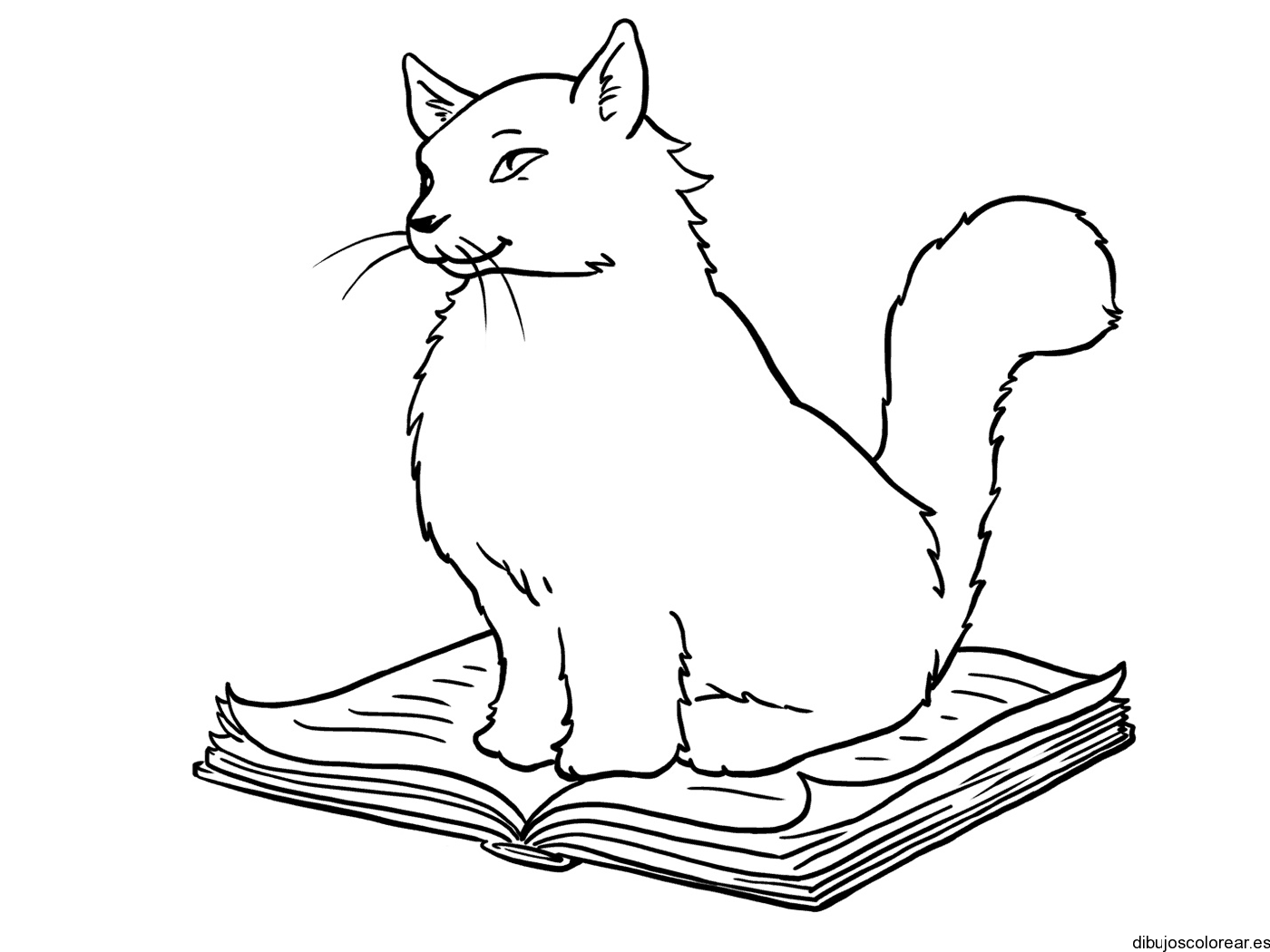 Dibujo de un gato sobre un diario