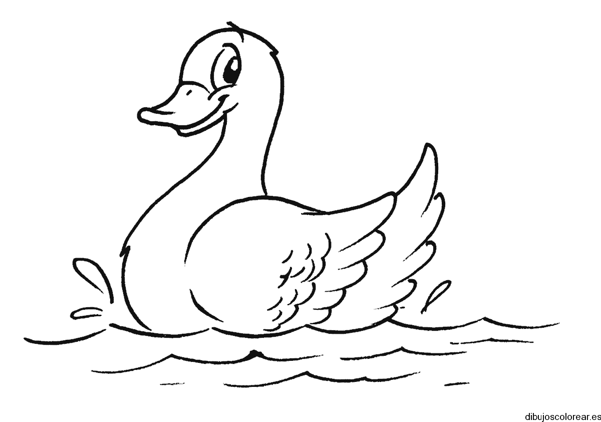 Dibujo de un pato que nada