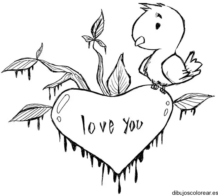 Dibujo de un pájarito y Love You