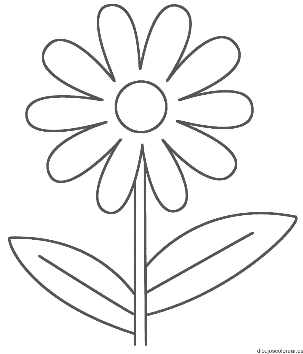 Dibujo de una margarita con dos hojas