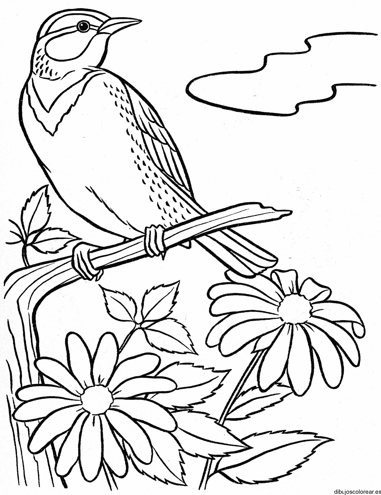 Dibujo de un pájaro viendo las nubes