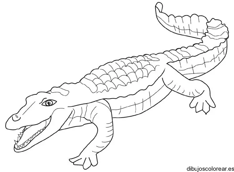 Dibujo de un lagarto solitario