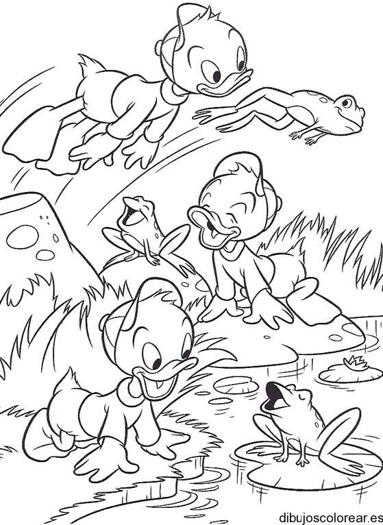 Dibujo de patitos Hugo, Paco y Luis