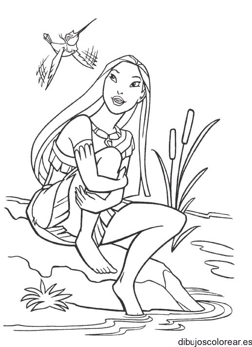 Dibujo de Pocahontas y un ave