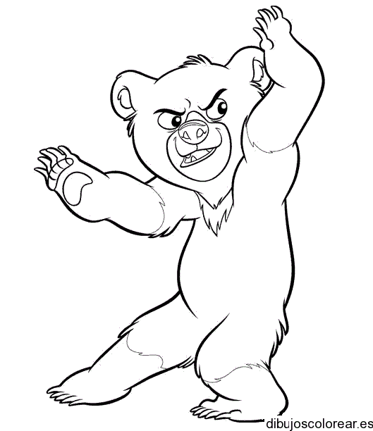 Dibujo de un oso imitador