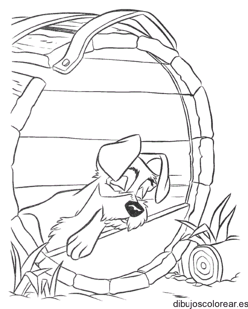 Dibujo de un perro durmiendo en barril