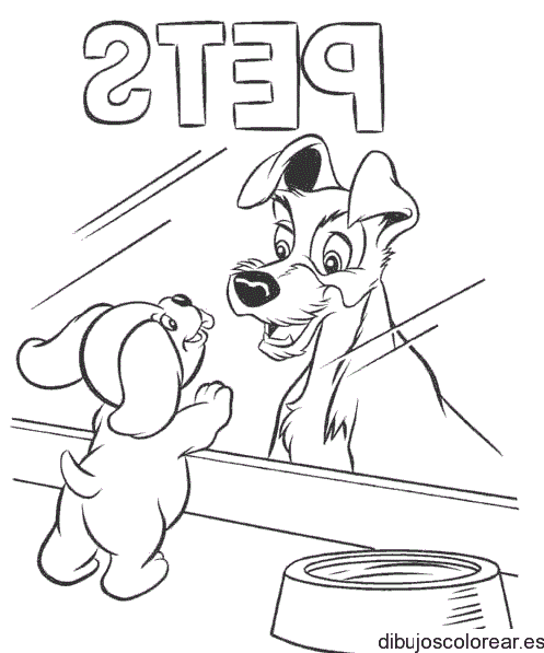 Dibujo de un perro en la vitrina