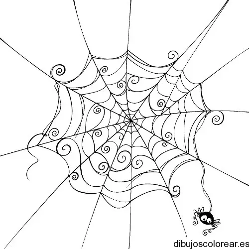 Dibujo de una telaraña  