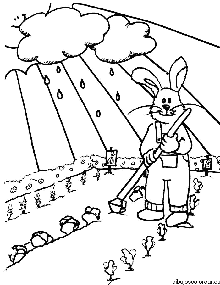 Dibujo de un conejo en la granja 